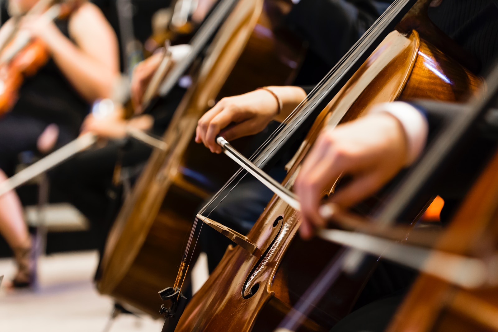 person playing brown wooden violin