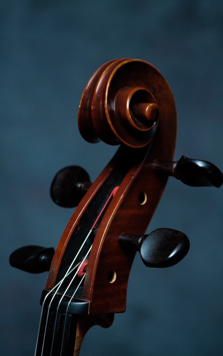 brown violin with musical notes